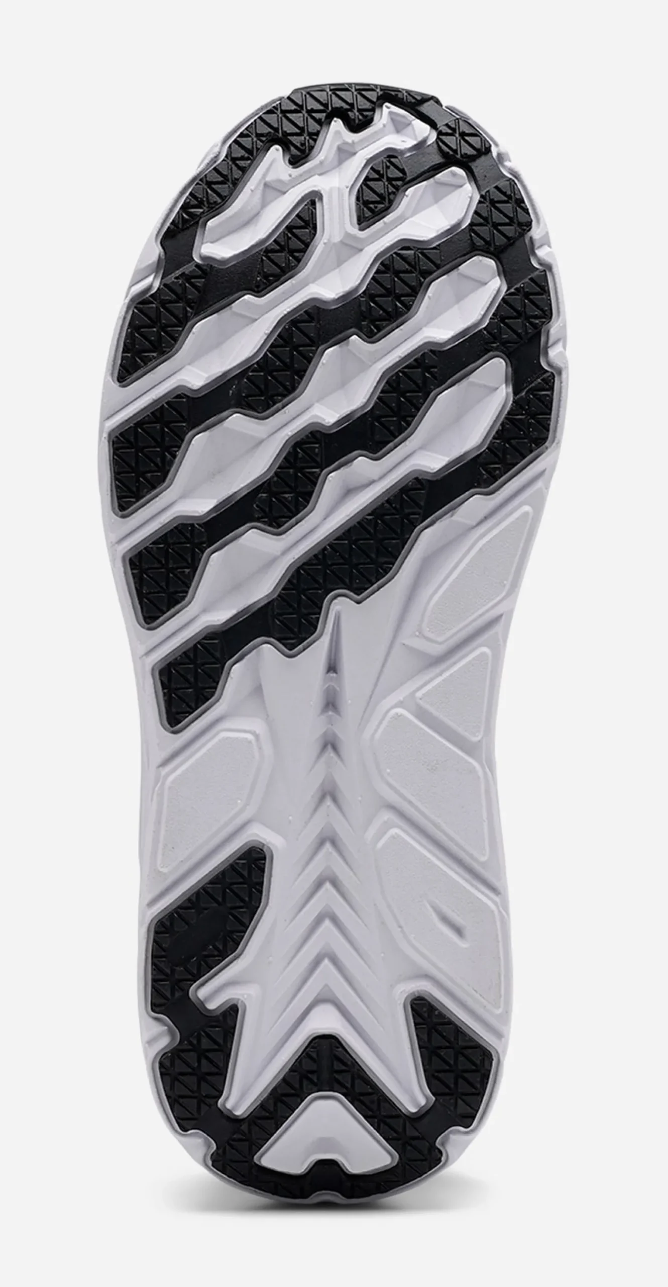 LEJON, Sneakers